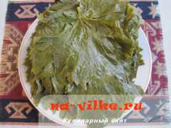 dolma-05