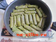 dolma-11