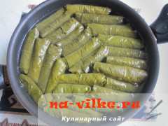 dolma-12