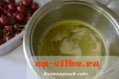 vishnja-krasnaja-smorodina-06