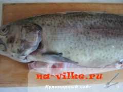 forel-v-lavashe-02