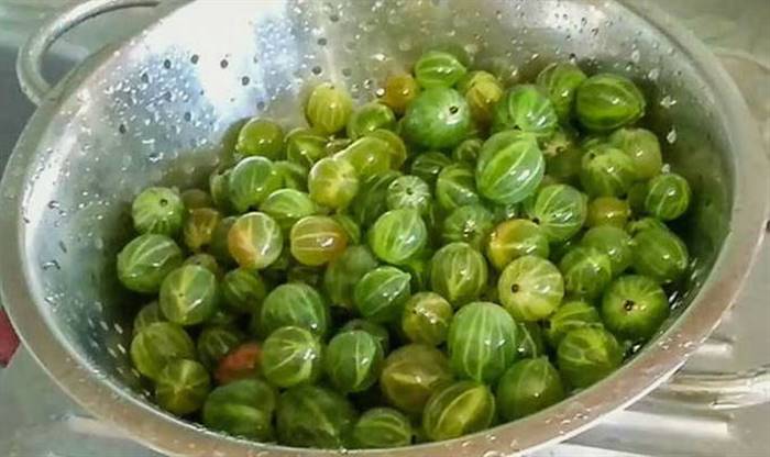 Царське варення з аґрусу смарагдове