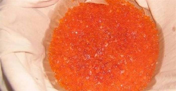 Як засолити ікру форелі в домашніх умовах швидко та смачно